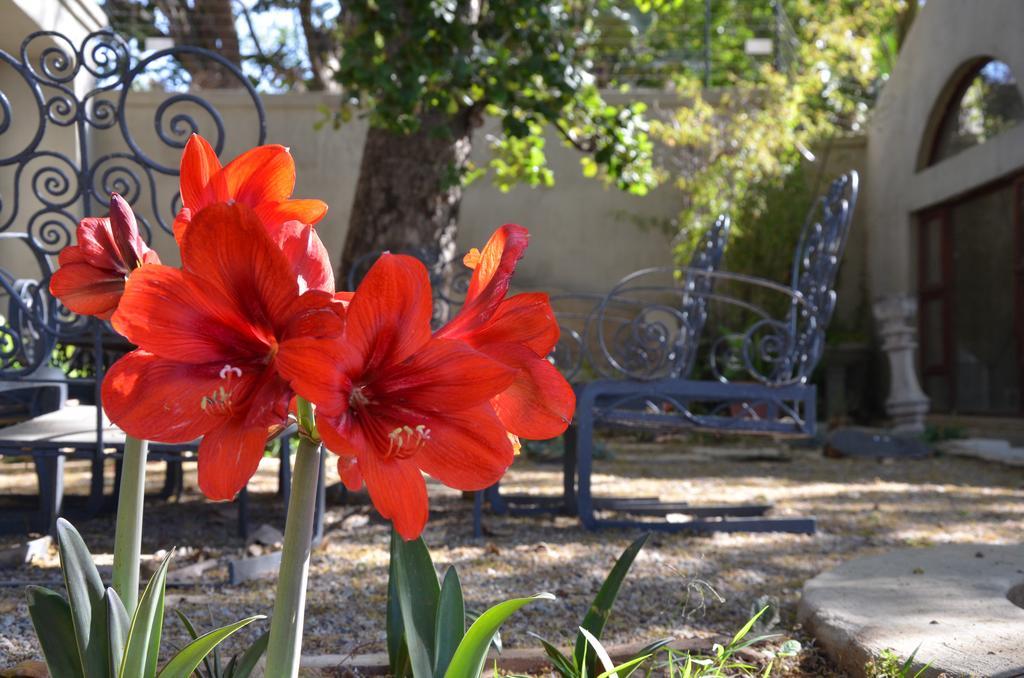 Shepherd'S Corner Guest House Johannesburg Bagian luar foto